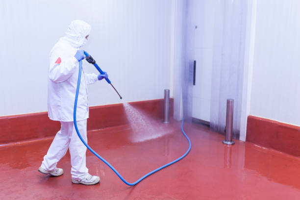 Best Boat and Dock Cleaning  in Kemp Mill, MD